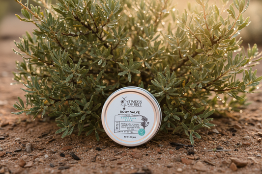 The Quiet Power of Scent: How Grounding the Nervous System Actually Works